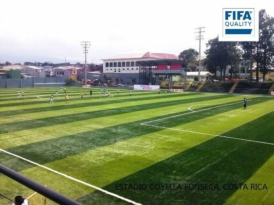 FIFA 인증을 받은 55mm 덩어리 높이 고밀도 인위 잔디