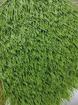 50mm 스포츠 인조 잔디 축구 야구 스포츠 경기장 놀이터 UV 저항 낮은 유지 보수