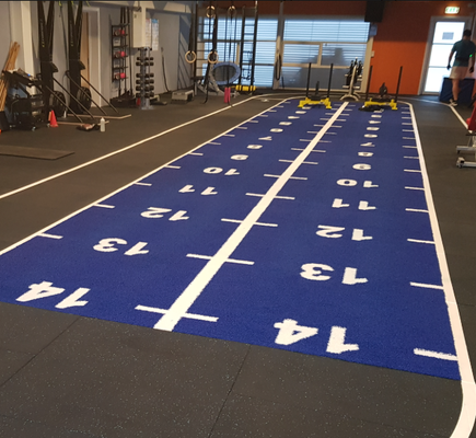 체육관 피트니스에 맞춘 색상 패턴과 자외선 저항을 가진 16mm Pile Height sled turf