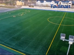 FIFA 인증 축구 잔디