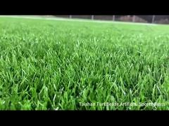 타이산 신규 프로젝트 벨리즈 인조 스포츠 잔디